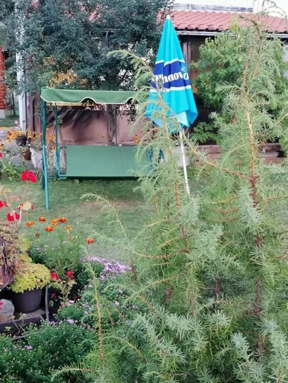 Apartman Marija Zlatibor Buitenkant foto