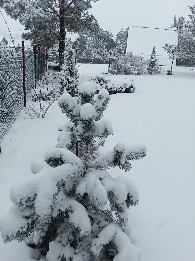 Apartman Marija Zlatibor Buitenkant foto